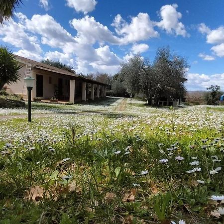 Agriturismo Bio Pian Dei Casali Saturnia Exteriör bild