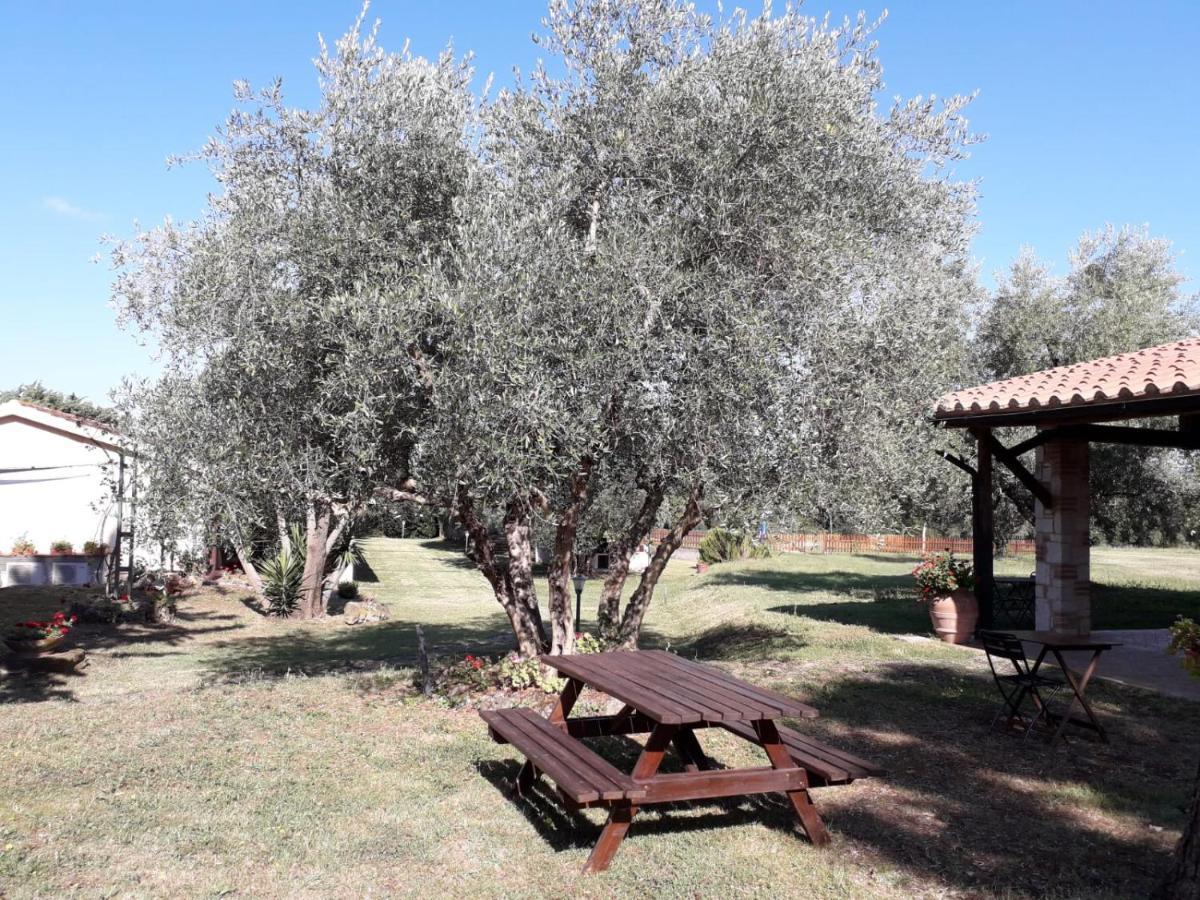 Agriturismo Bio Pian Dei Casali Saturnia Exteriör bild