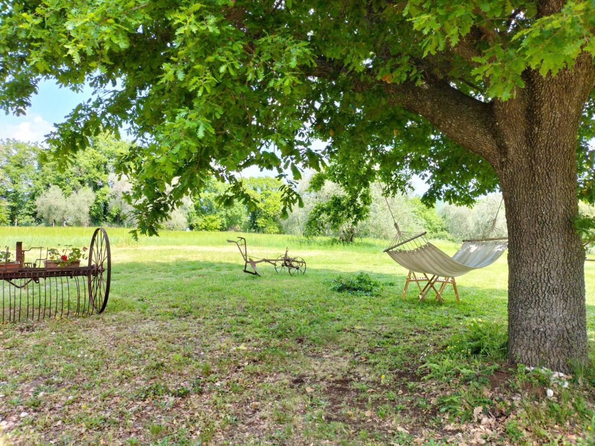 Agriturismo Bio Pian Dei Casali Saturnia Exteriör bild