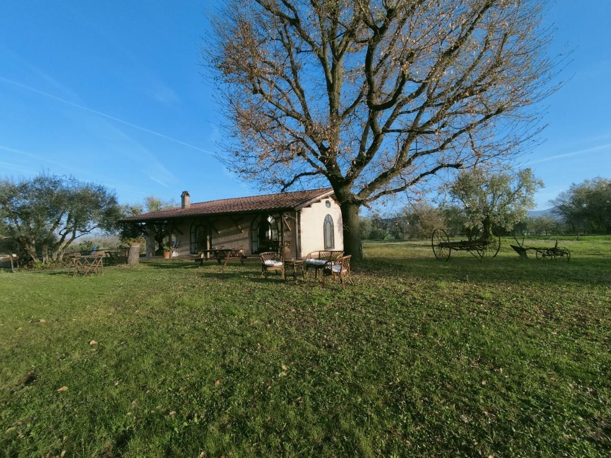 Agriturismo Bio Pian Dei Casali Saturnia Exteriör bild