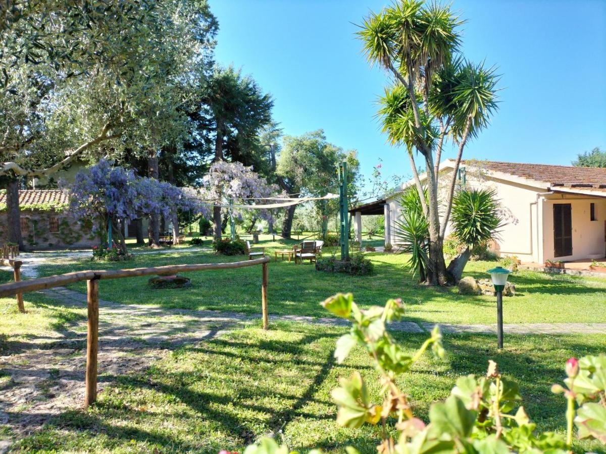 Agriturismo Bio Pian Dei Casali Saturnia Exteriör bild