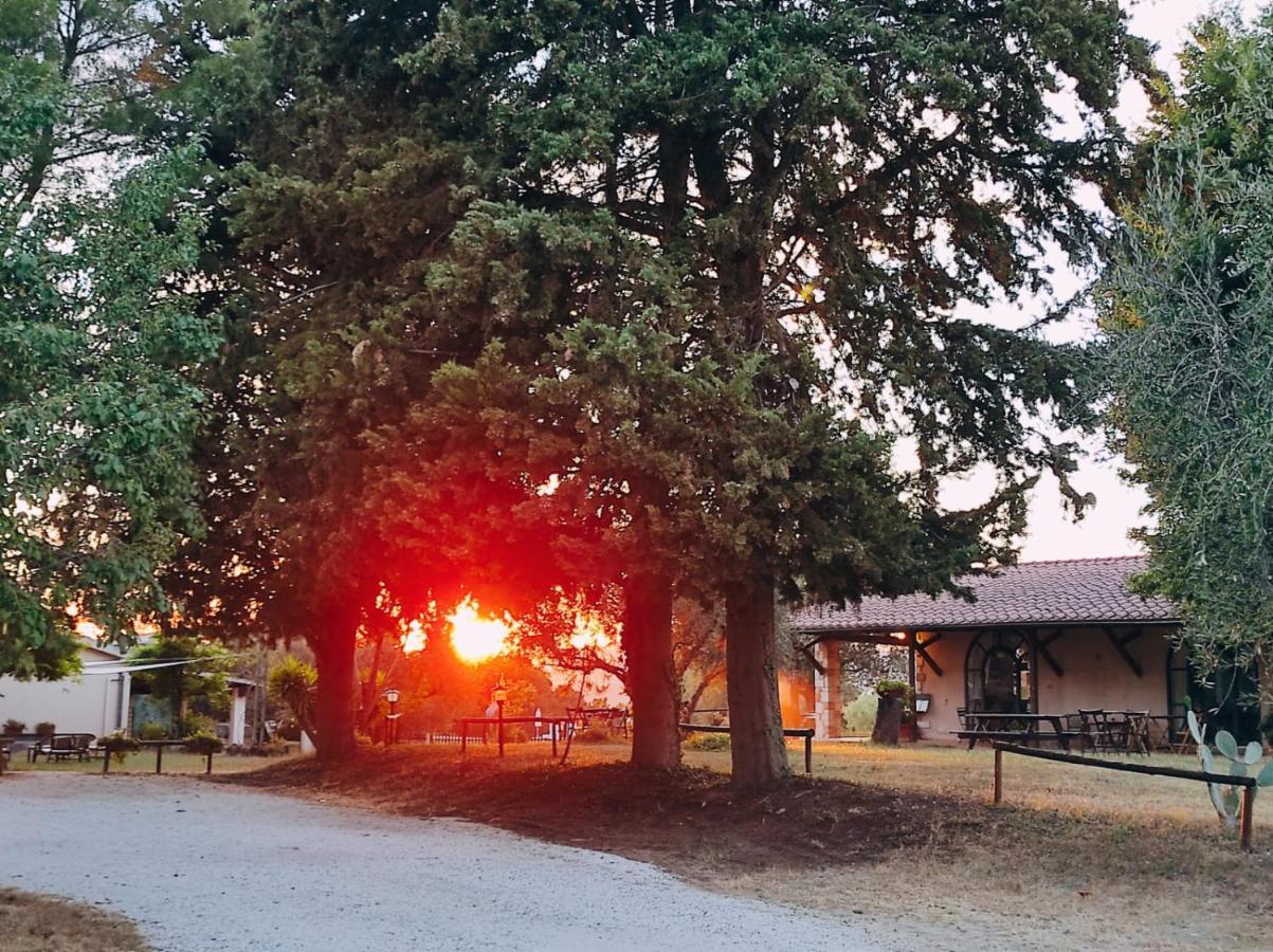 Agriturismo Bio Pian Dei Casali Saturnia Exteriör bild
