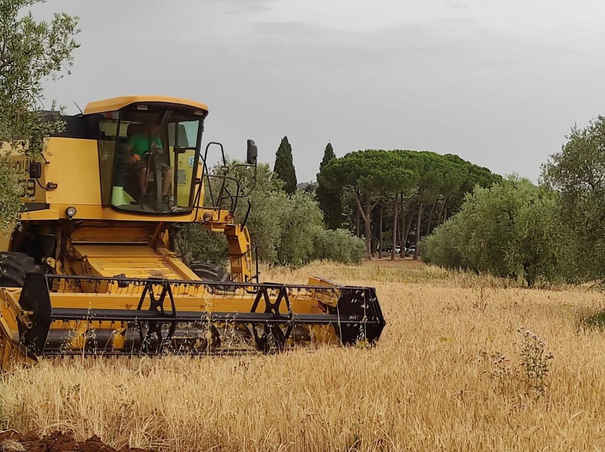 Agriturismo Bio Pian Dei Casali Saturnia Exteriör bild