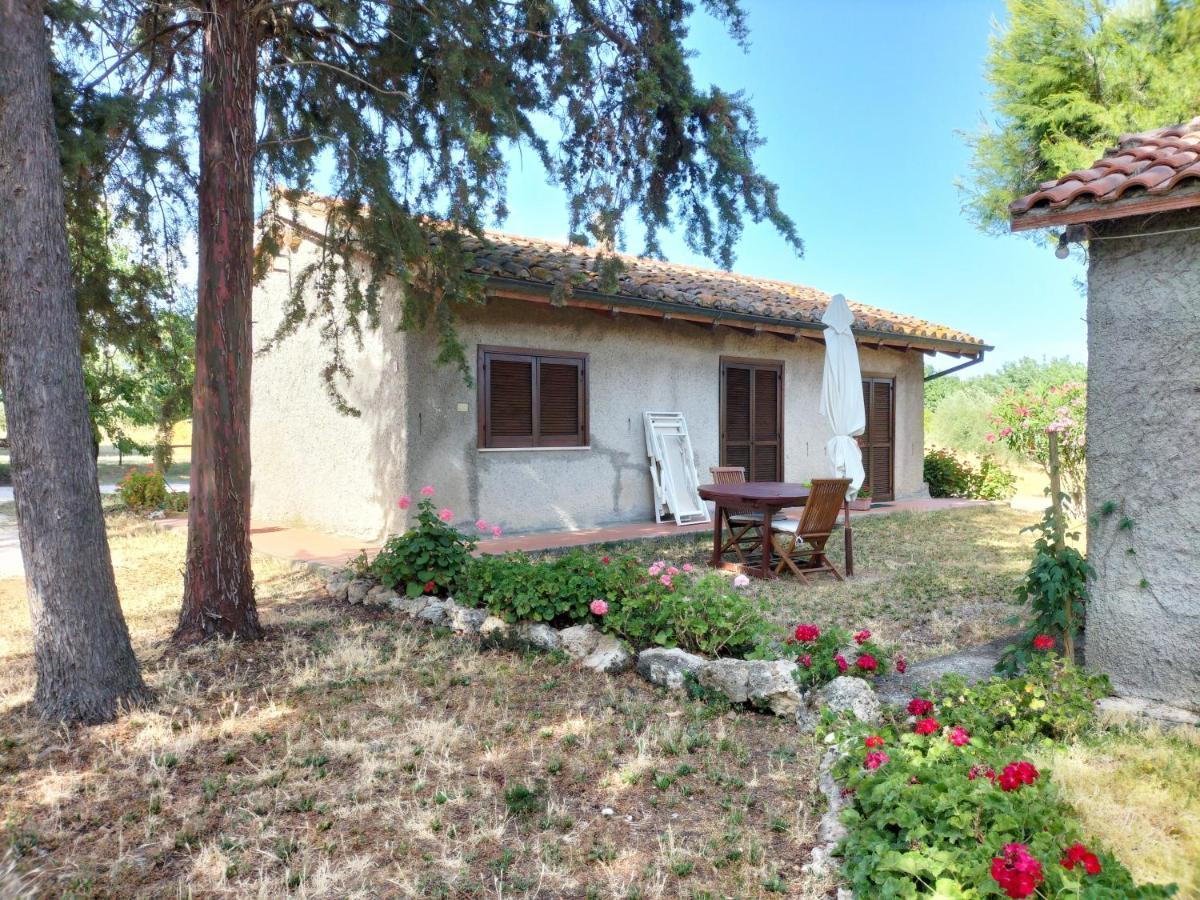 Agriturismo Bio Pian Dei Casali Saturnia Exteriör bild