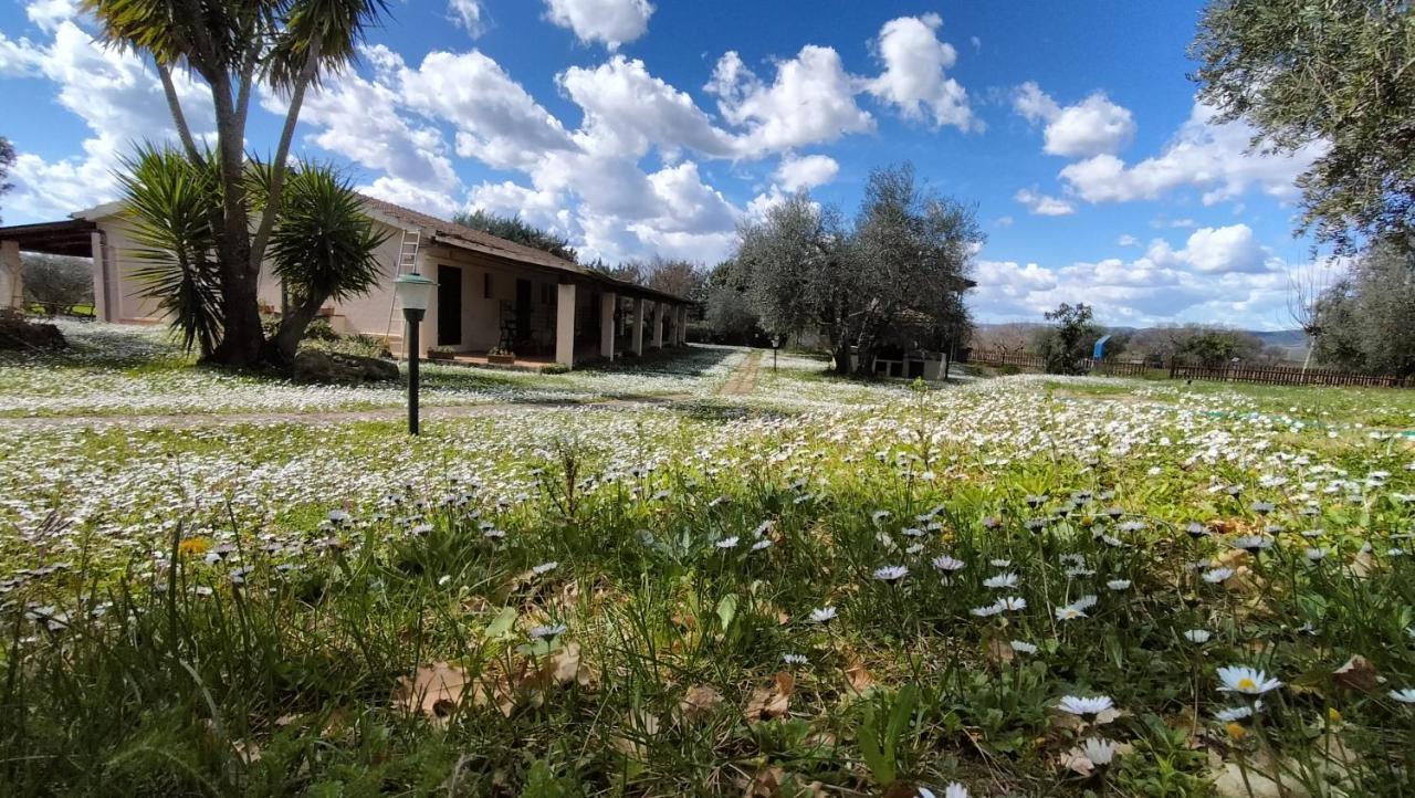 Agriturismo Bio Pian Dei Casali Saturnia Exteriör bild