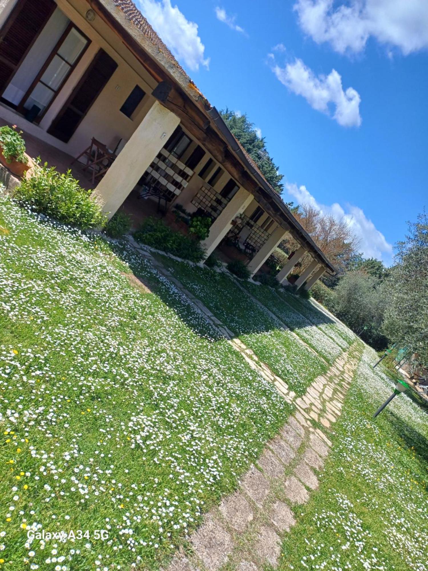 Agriturismo Bio Pian Dei Casali Saturnia Exteriör bild
