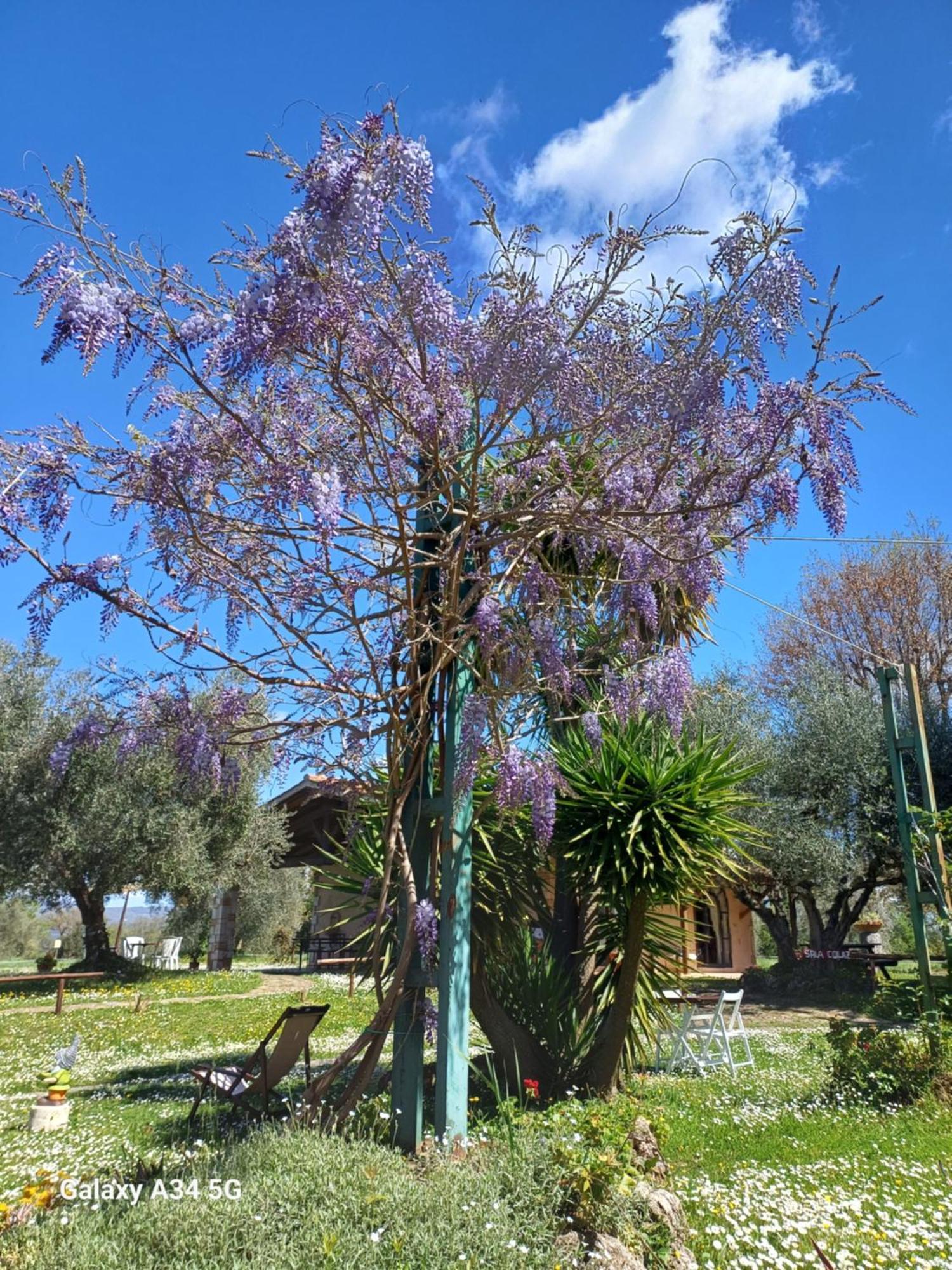 Agriturismo Bio Pian Dei Casali Saturnia Exteriör bild