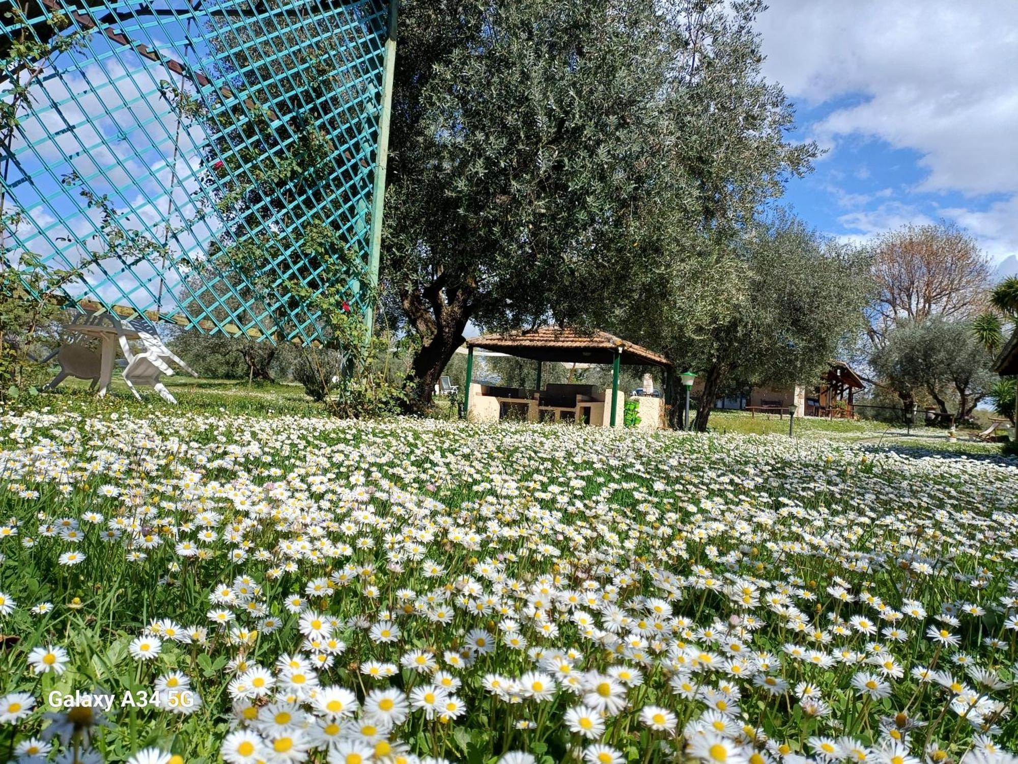 Agriturismo Bio Pian Dei Casali Saturnia Exteriör bild