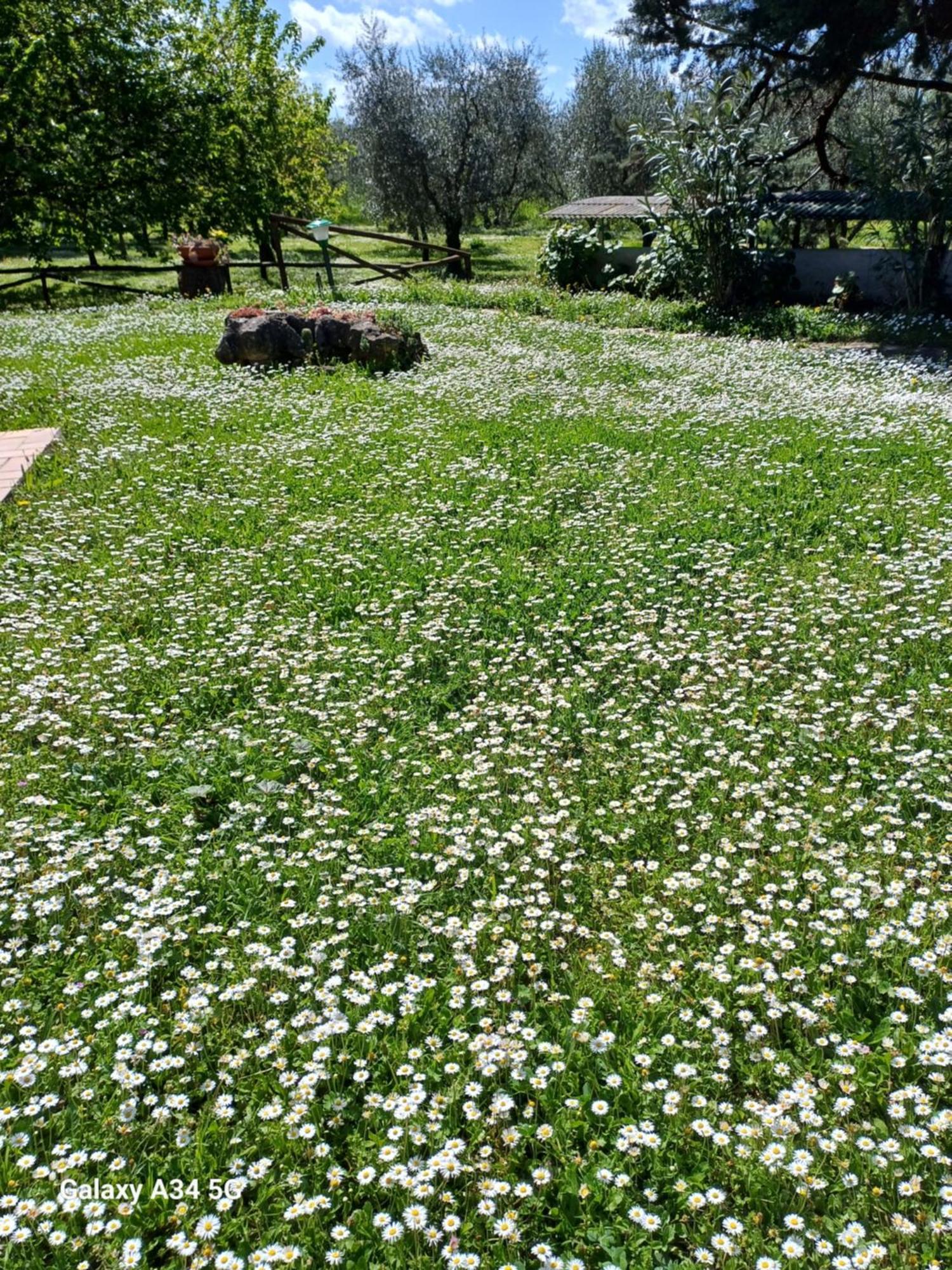 Agriturismo Bio Pian Dei Casali Saturnia Exteriör bild