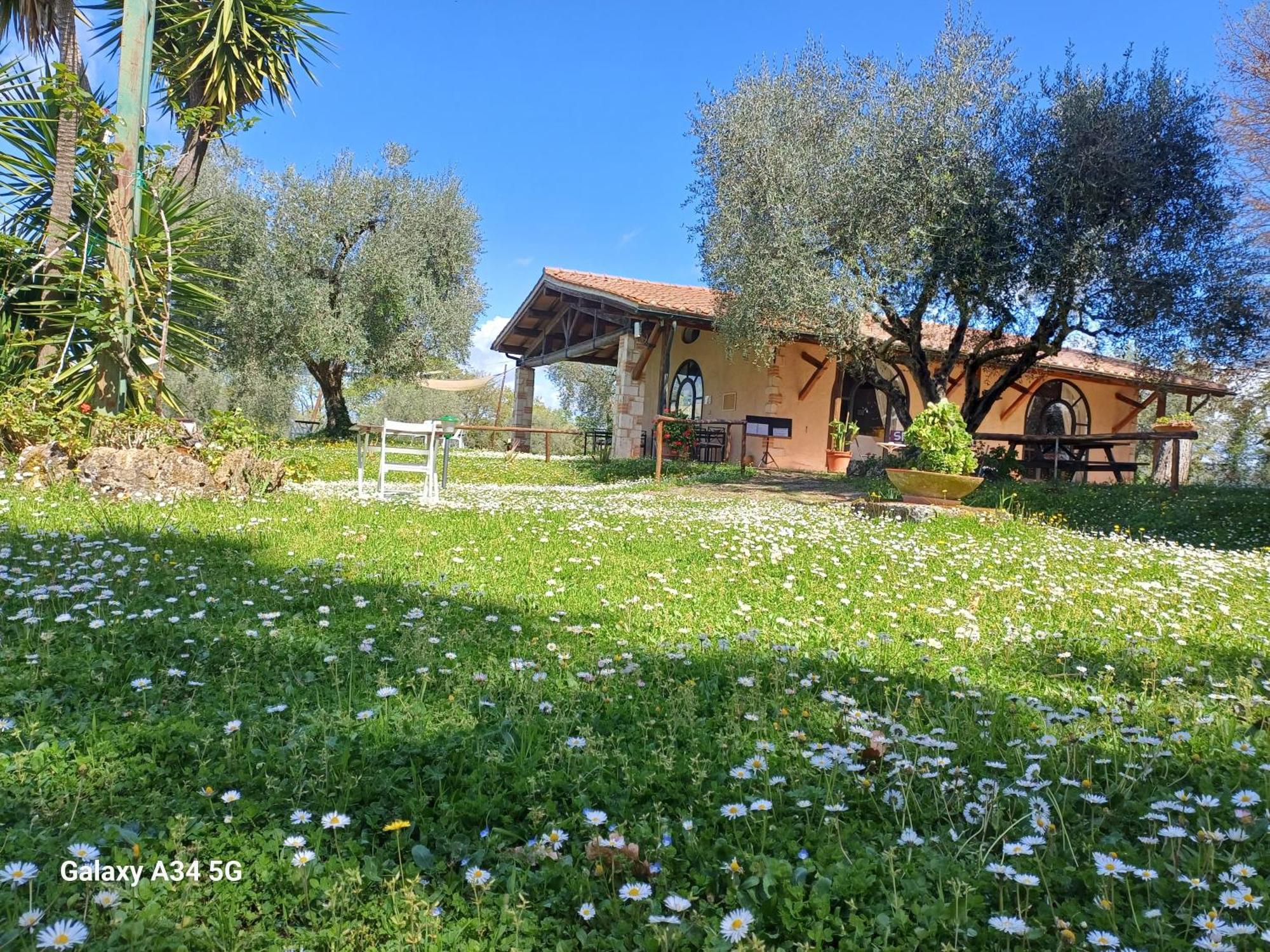 Agriturismo Bio Pian Dei Casali Saturnia Exteriör bild