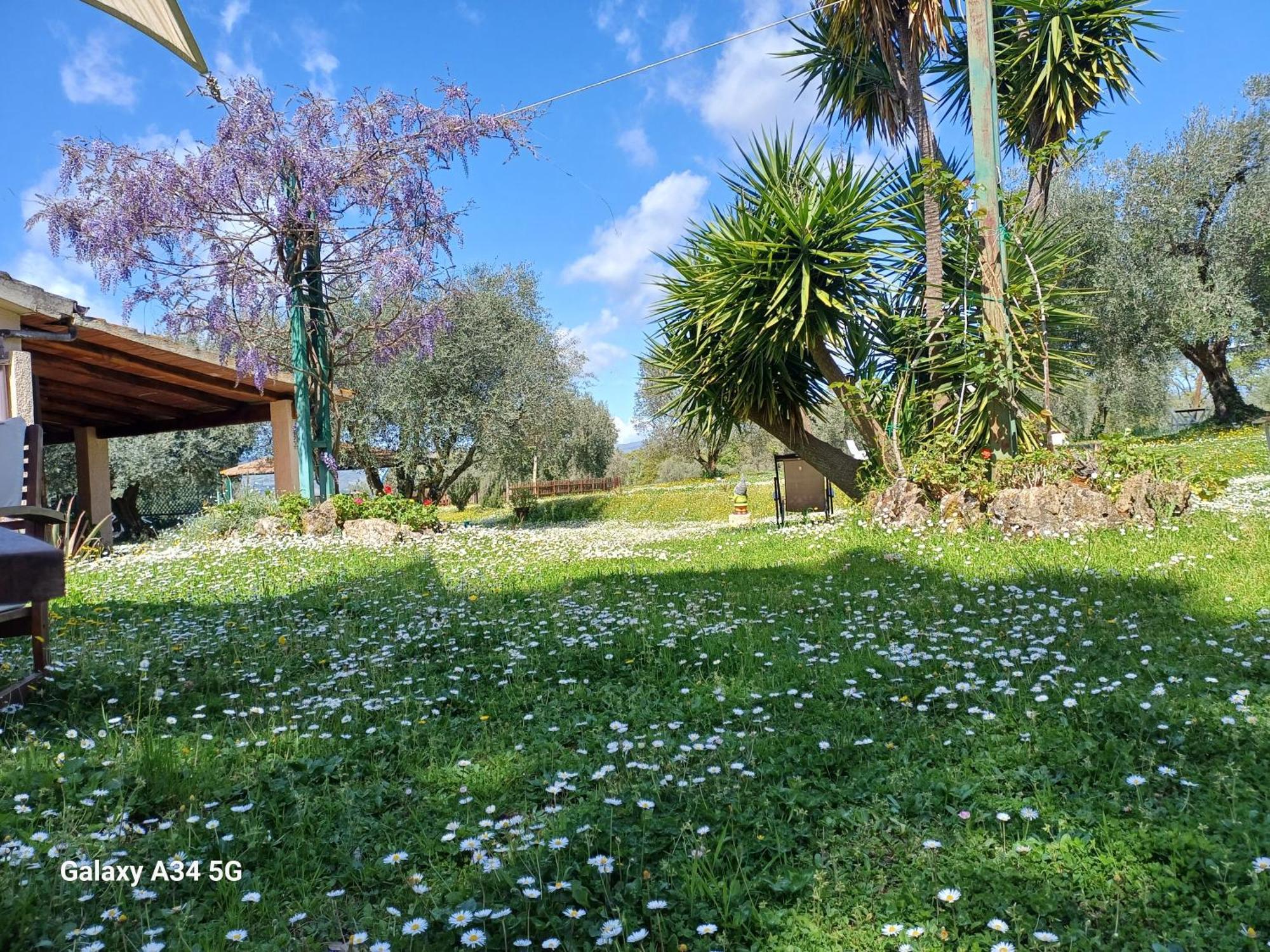 Agriturismo Bio Pian Dei Casali Saturnia Exteriör bild