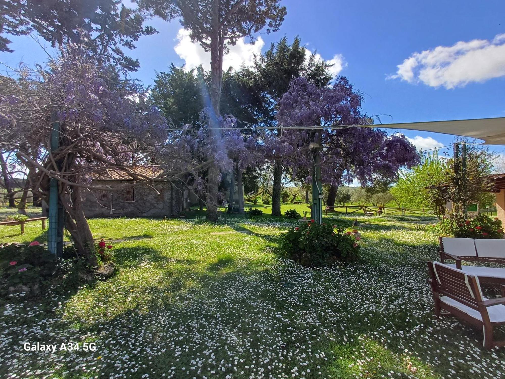 Agriturismo Bio Pian Dei Casali Saturnia Exteriör bild